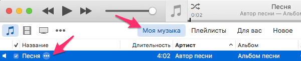 Вид аудиофайла в медиатеке iTunes