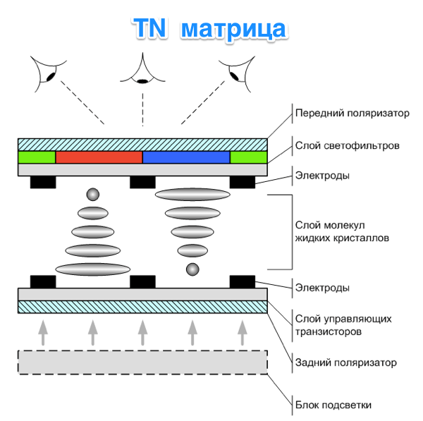 Устройство TN матрицы монитора