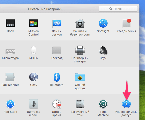 Открытие настроек универсального доступа Mac OS для отключения поиска курсора