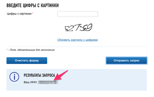 Результат получения ИНН онлайн на сайте налоговой
