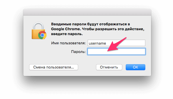 Ввод пароля от ОС для просмотра сохраненных паролей в Google Chrome